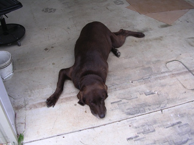 Loading Image